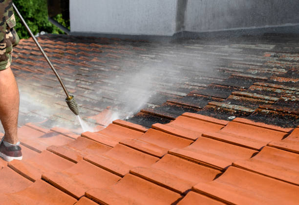 Best Local Pressure Washing Services  in Valley Park, MO