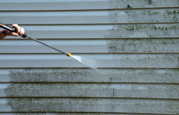 Best Residential Pressure Washing Services  in Valley Park, MO