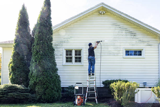 Professional Pressure Washing in Valley Park, MO